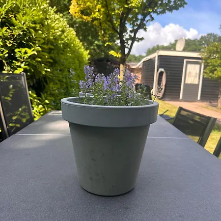 度假居 Vakantiehuis Putten